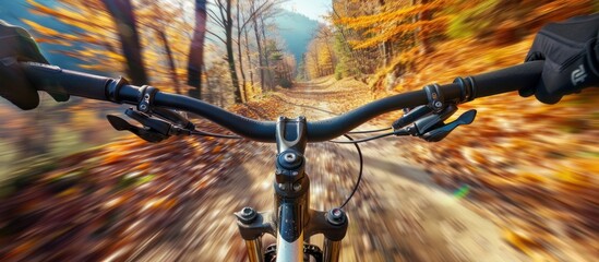 Cycling Through Autumn Forest