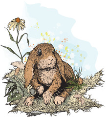 Vector image of a brown rabbit in the grass garden
