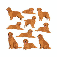 Obraz premium Golden Retriever dog silhouette set animals vector template