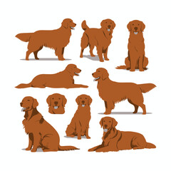 Golden Retriever dog silhouette set animals vector template