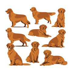 Obraz premium Golden Retriever dog silhouette set animals vector template