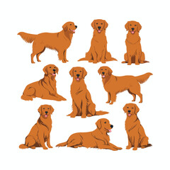 Golden Retriever dog silhouette set animals vector template