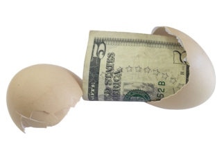 Five dollar bill in cream egg shell isolated on transparent background.