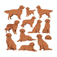 Golden Retriever dog silhouette set animals vector template