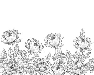 Hand Drawn Peony Flower and Leaves Background