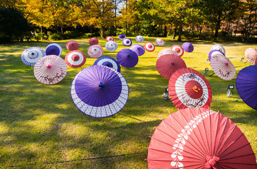 芝生の広場に色とりどりの和傘が沢山並べられ紅葉の木々が背景になっている風景