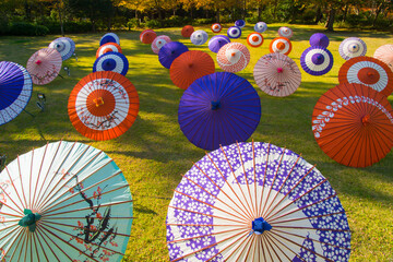 芝生の広場に色とりどりの和傘が沢山並べられ紅葉の木々が背景になっている風景