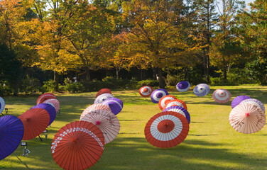 芝生の広場に色とりどりの和傘が沢山並べられ紅葉の木々が背景になっている風景