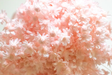 ピンク色のドライフラワー