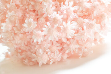 ピンク色のドライフラワー