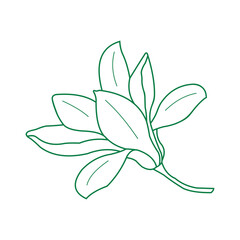 logo design vector abstract template modern symbol simple logo icon magnolia flower