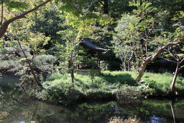東京・調布の深大寺。
