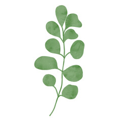 
Green leaves watercolor isolated on white background
