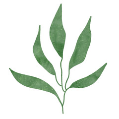 
Green leaves watercolor isolated on white background
