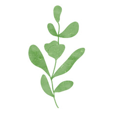 
Green leaves watercolor isolated on white background
