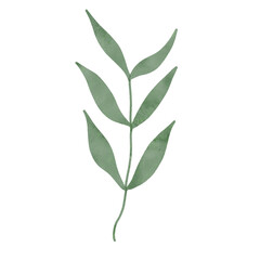 
Green leaves watercolor isolated on white background
