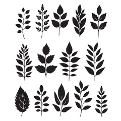 set of silhouettes of leaves on white	