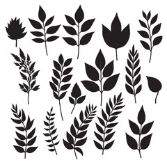 set of silhouettes of leaves on white	