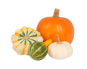 Four decorative pumpkins of different varieties, isolated