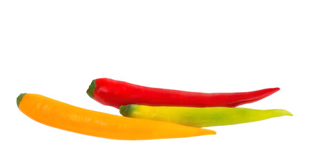 Three multicolored peppers isolated