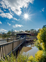 Fototapeta premium Bright Sun Over Ringwood Lake Bridge