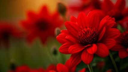  Vibrant Red Flowers in Bloom