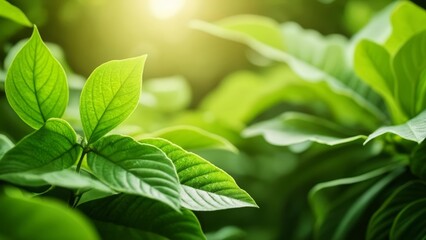  Vibrant life in natures embrace