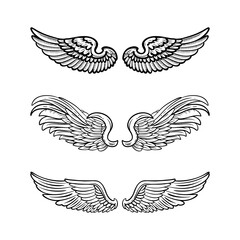 Sketch angel wings. Angel feather wing illustration.