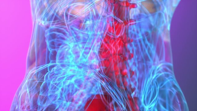 Cervical spine xray idear