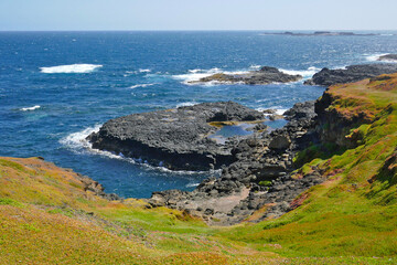 The Nobbies outcrops at Phillip Island -Victoria.