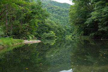 新緑の渓流