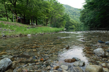 新緑の渓流