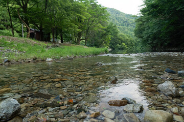 新緑の渓流