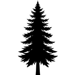 Silhouette of a pine tree Douglas spruce vector illustration design