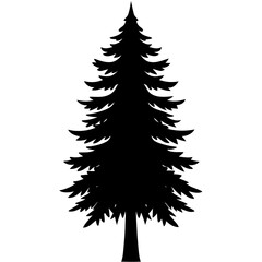 Silhouette of a pine tree Douglas spruce vector illustration design