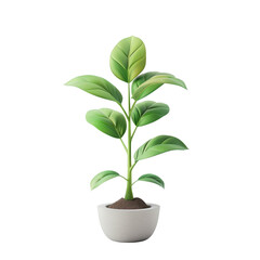 3D Plant icon, on isolated transparent background