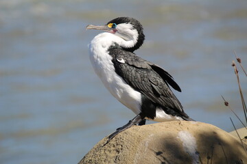 Bits and Bobs, All shot in New Zealand. 