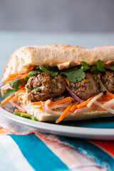 Brightly Colored Pork Meatball Vietnamese Bahn Mi Sandwich with cilantro, carrot, raddish and jalapeno