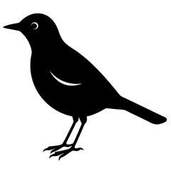 Silhouette of a lark bird vector illustration template