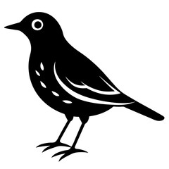 Silhouette of a lark bird vector illustration template