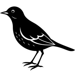 Silhouette of a lark bird vector illustration template