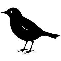 Silhouette of a lark bird vector illustration template