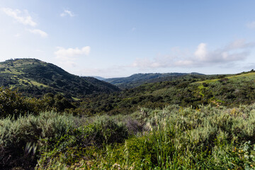 Obraz premium laguna beach hills