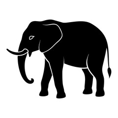 elephant illustration