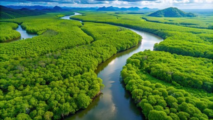 Aerial view of a river flowing through a lush green mangrove forest in Thailand, river, green, forest