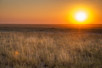 The Makgadikgadi Pan, a salt pan situated in the middle of the dry savanna of north-eastern Botswana, is one of the largest salt flats in the world.