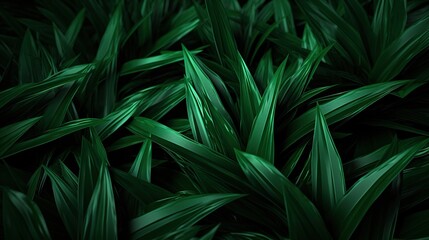 green leaves background