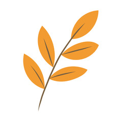 autumn leaves vector illustration