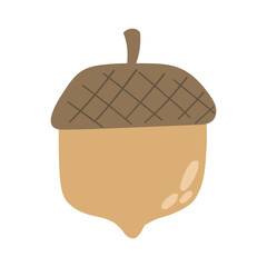 Acorn nut vector illustration