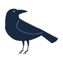Crow animal illustration